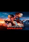THE SHADOW OF GREED