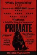 Primate