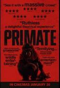 Primate