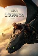 How to Train Your Dragon