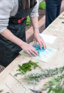 Workshop: Here comes the sun - create cyanotypes